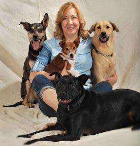 Benson's Canine Cookies - Pet Boutique