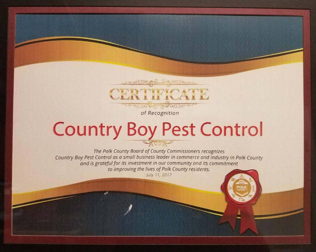 Country Boy Pest Control