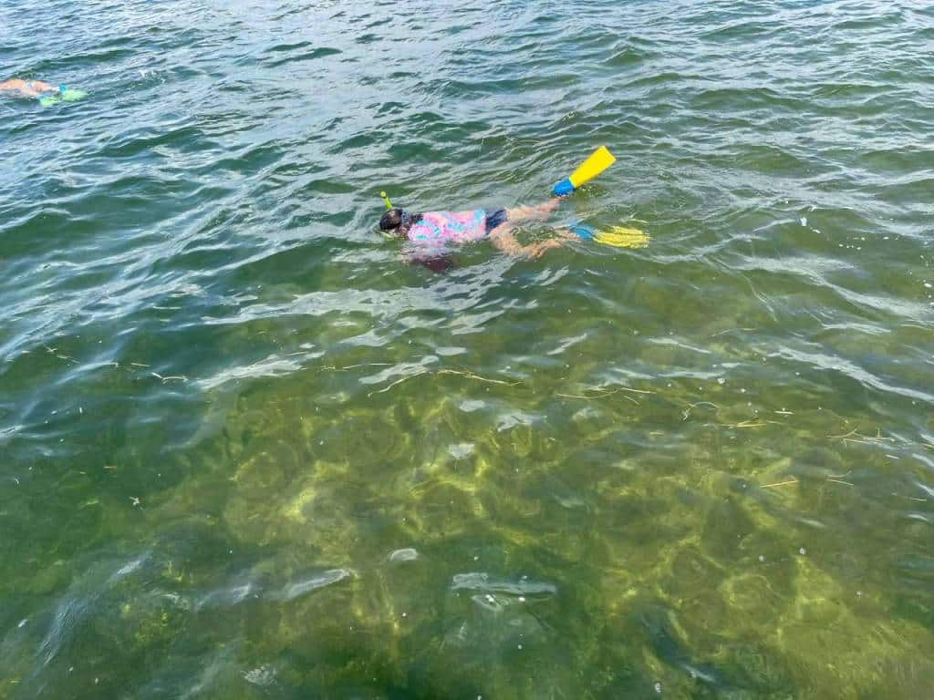 Captain Frank's Fishing