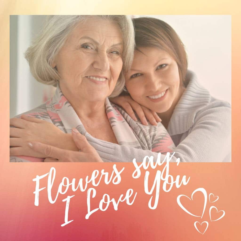 Clermont Florist