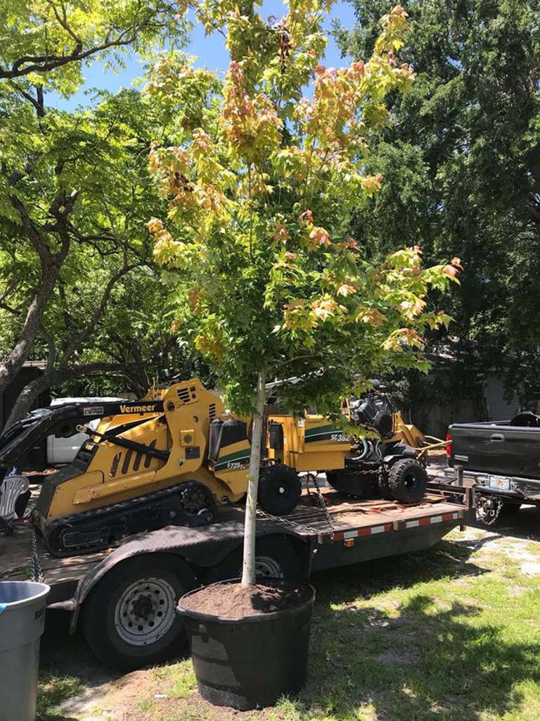 Karney Tree Service