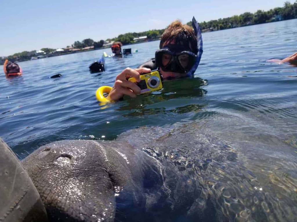 Seadaddy's Adventures