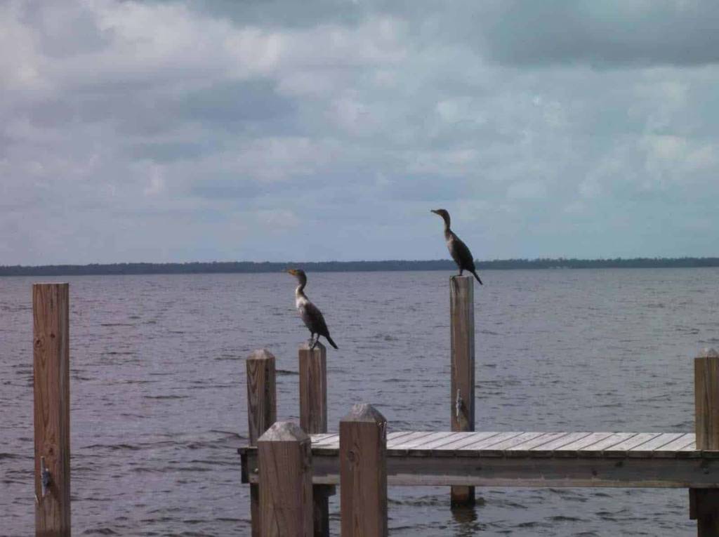 walden shores