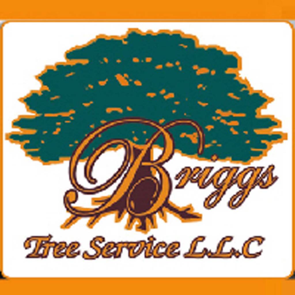 Briggs Tree Service