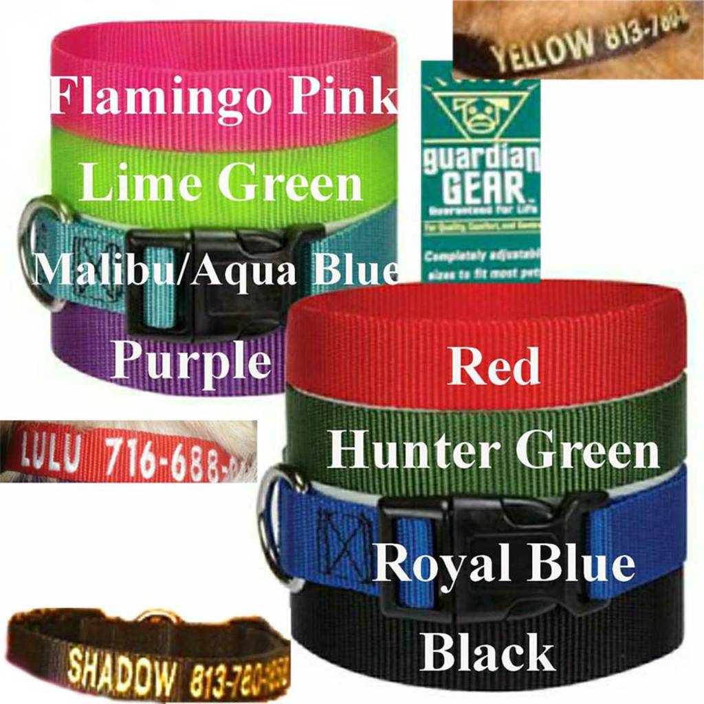 Angela Proctor Embroidery