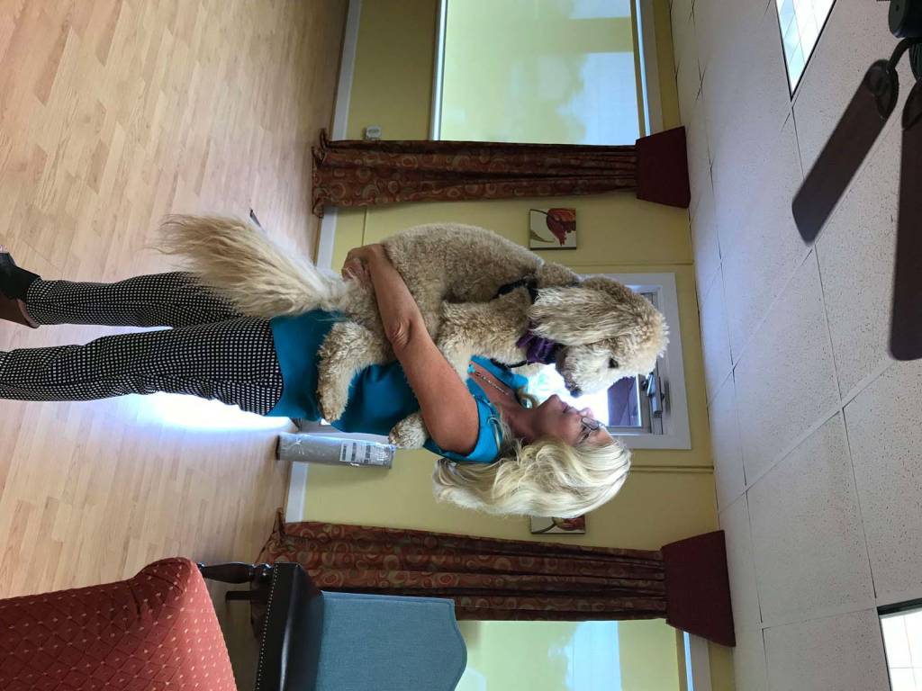 Window Concepts by Annalisa