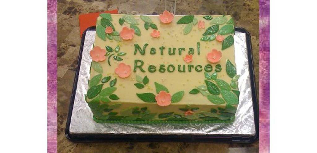 Oh 4 Goodness Cakes