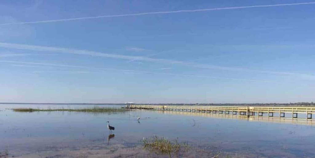 walden shores