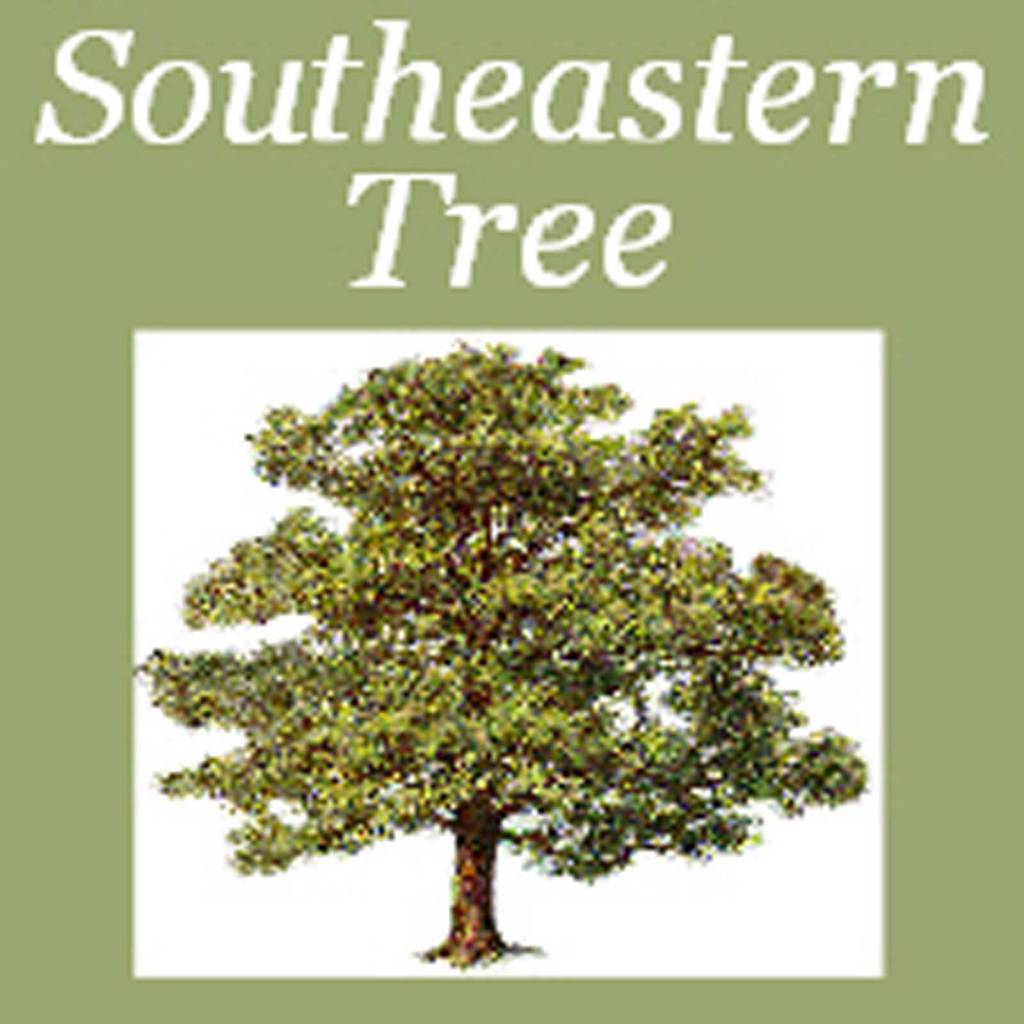 Southeastern tree