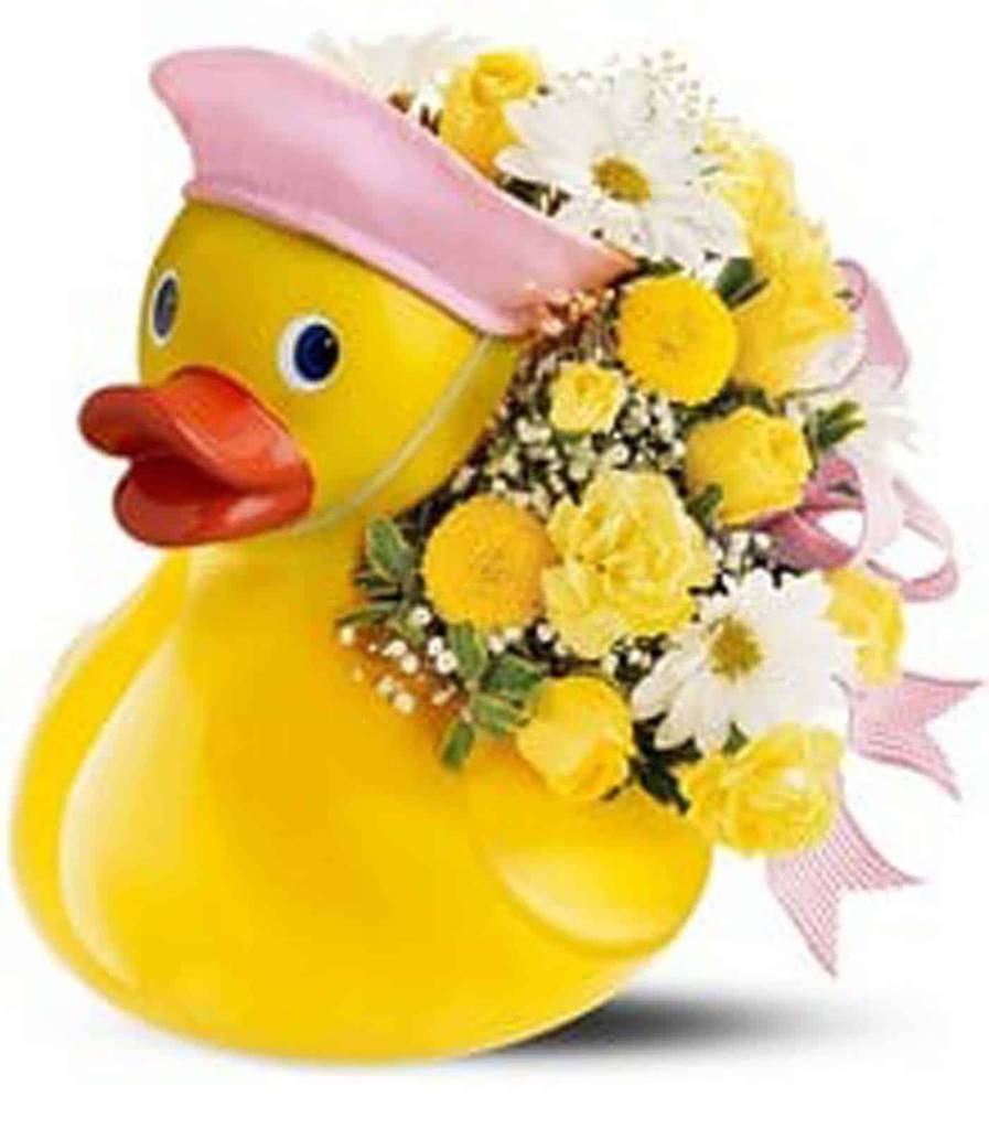 Clermont Florist
