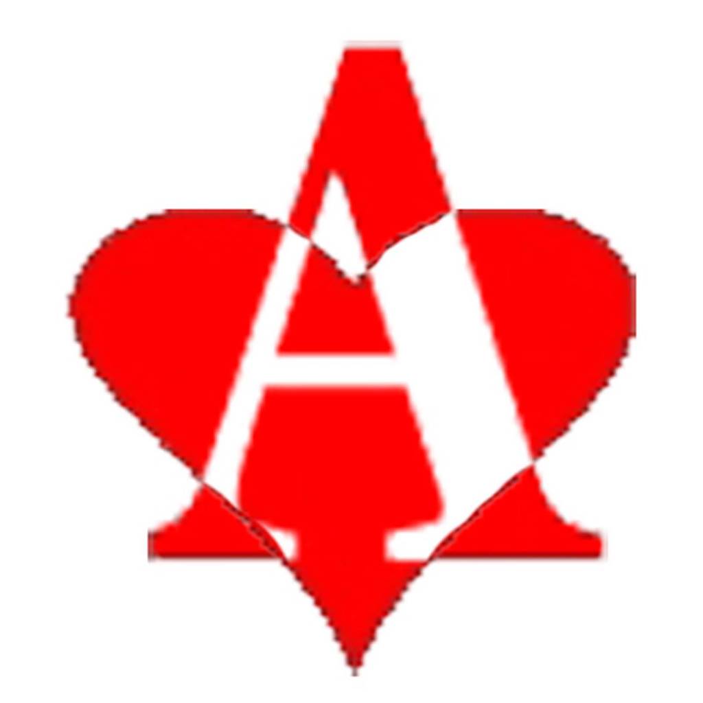 ace security