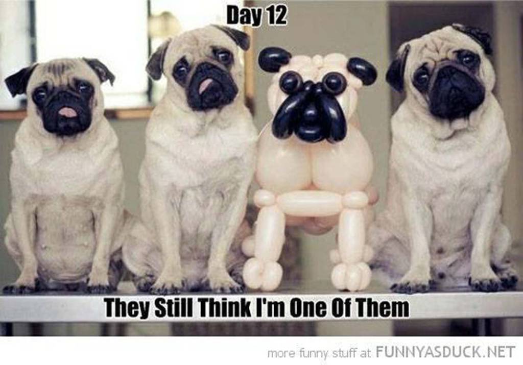 Alex the Balloon Guy