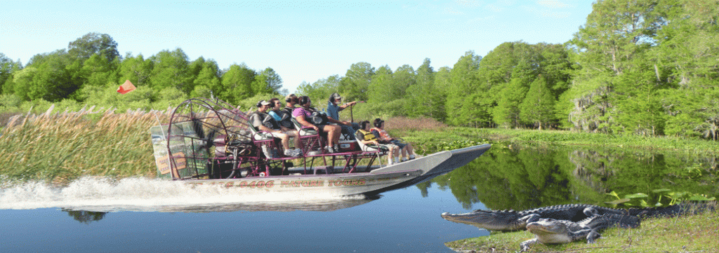Alligator Cove