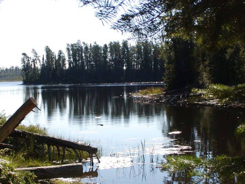 Alligator Cove