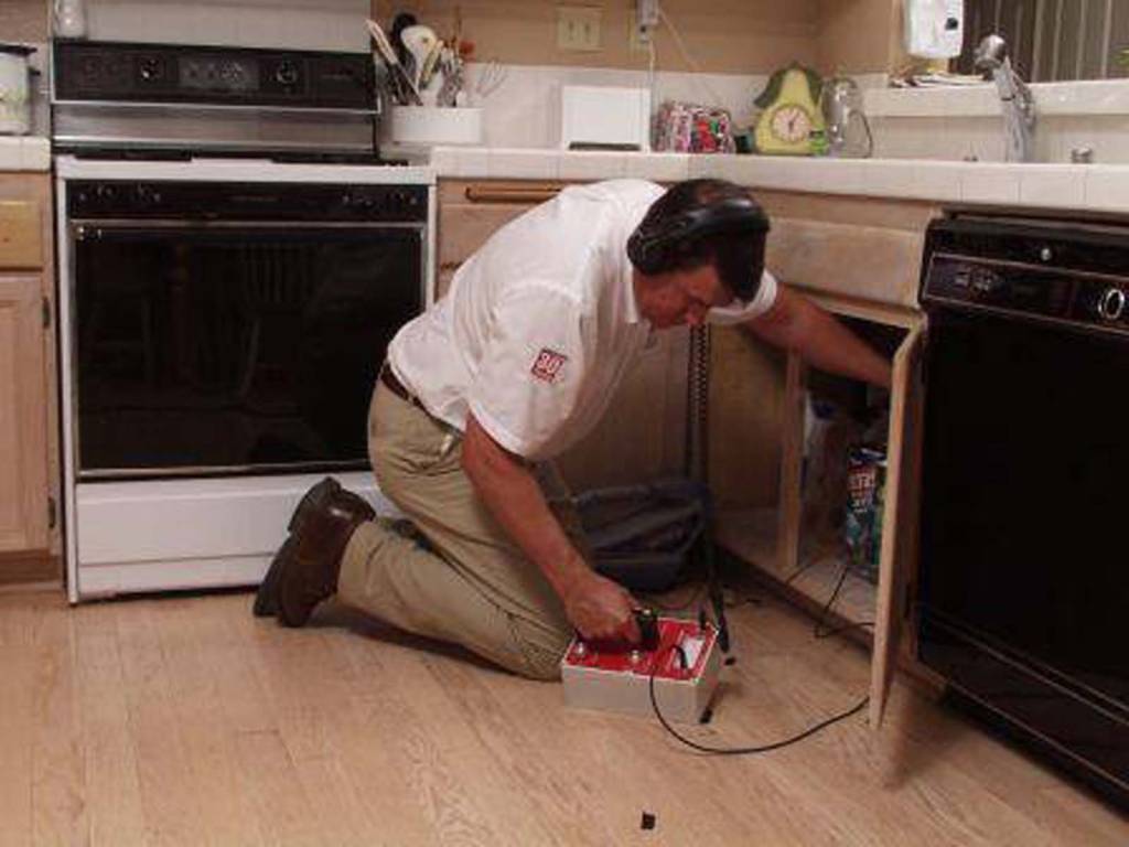 American Leak Detection of Tampa