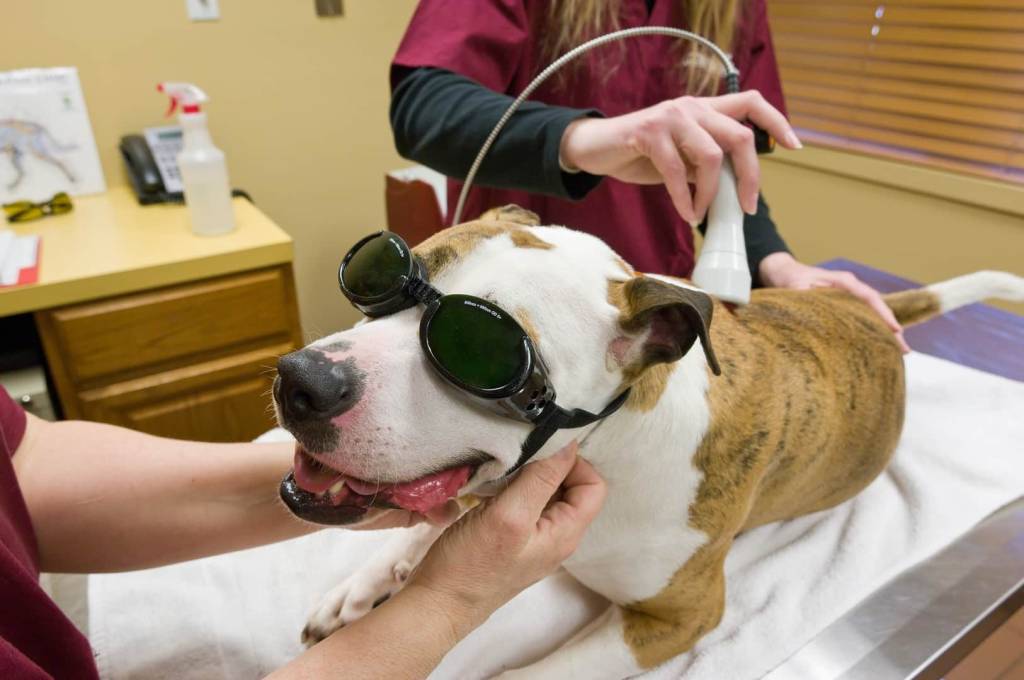 Floral City Veterinary Hospital