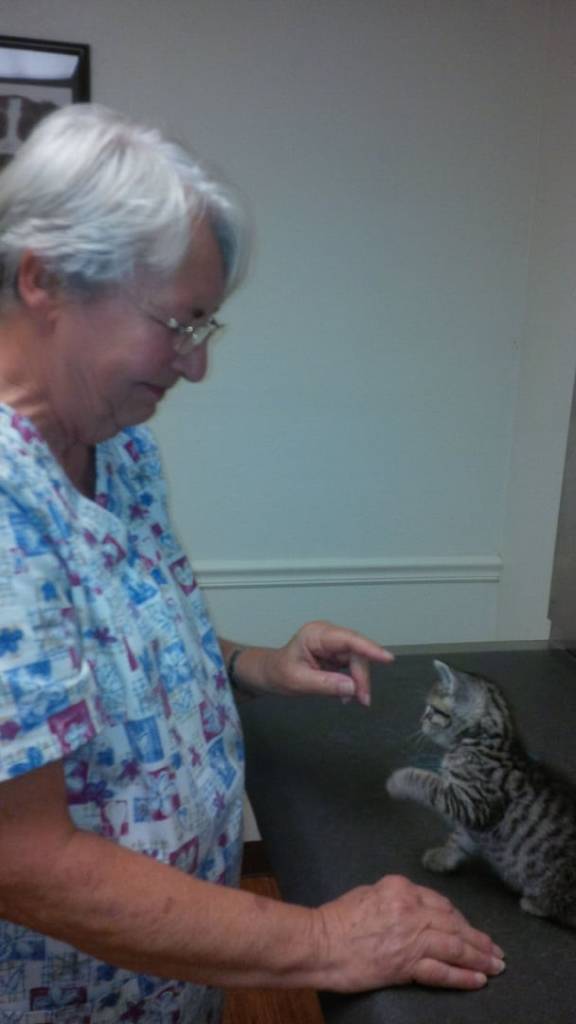 Floral City Veterinary Hospital