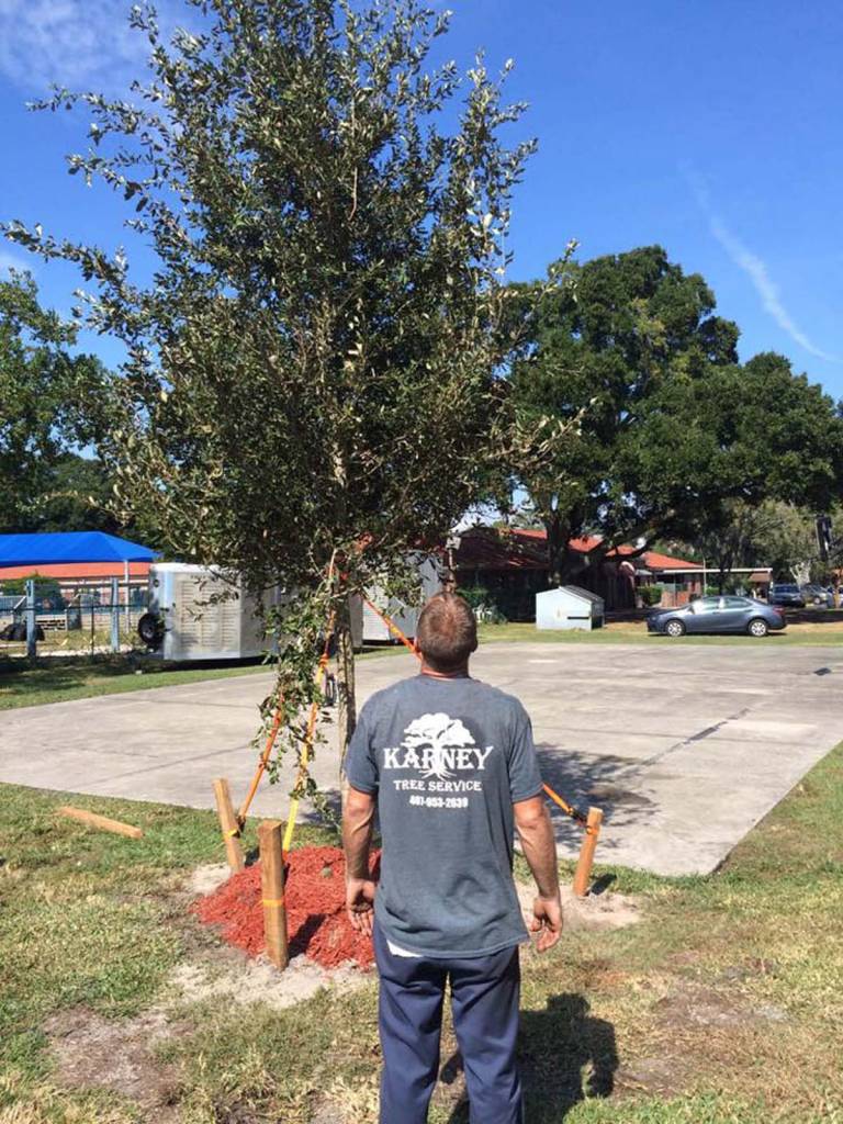 Karney Tree Service