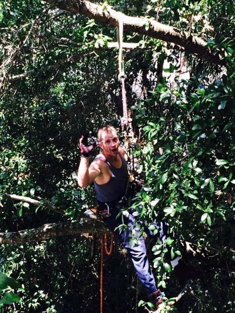 Karney Tree Service