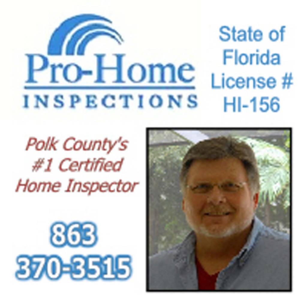 pro home inspections