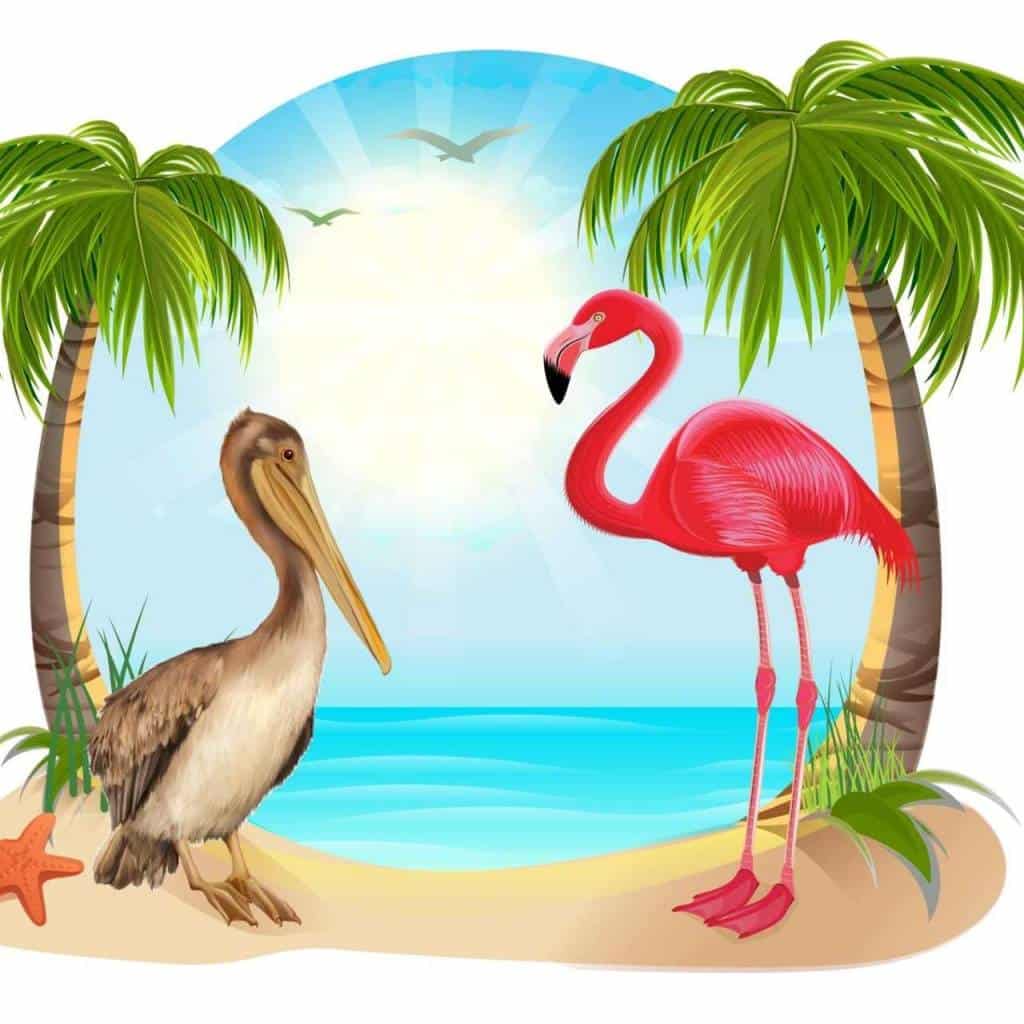 Pelican Cottage Consignment