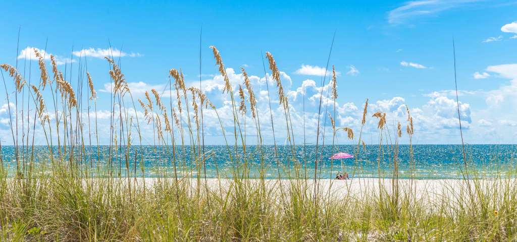 redington shores