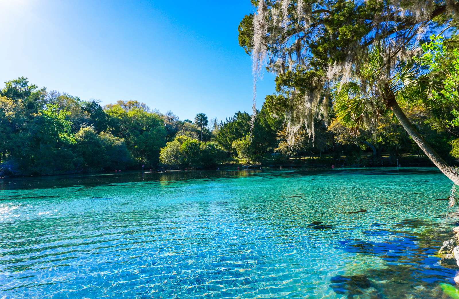 Silver Springs