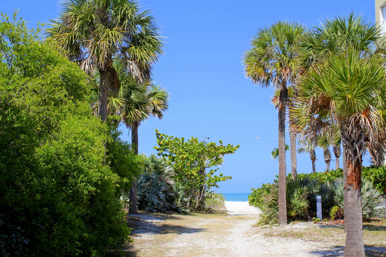 Indian Rocks Beach