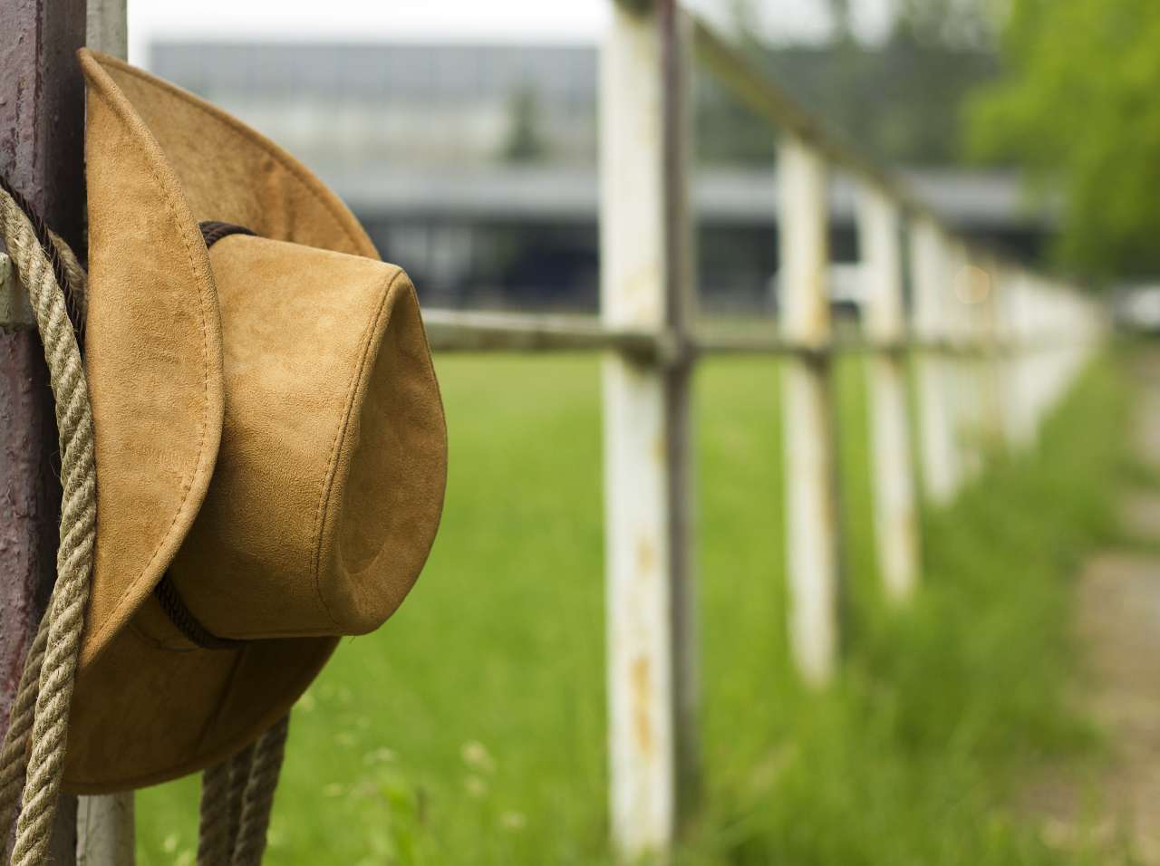 cowboy country arcadia