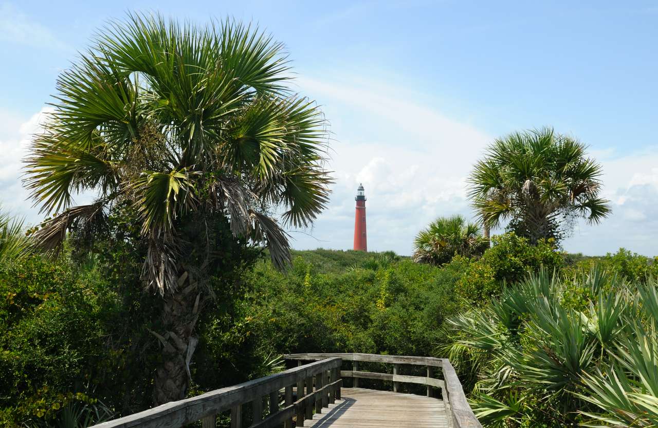 new smyrna beach