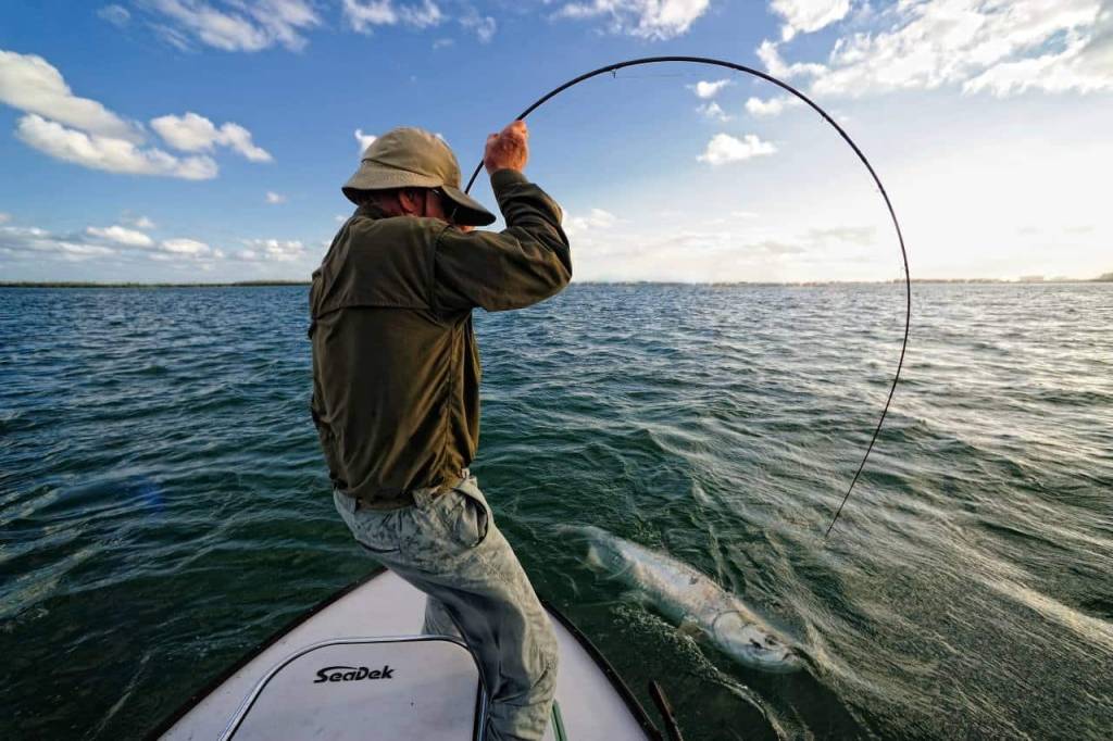 Tacos Hooked Up Sportfishing