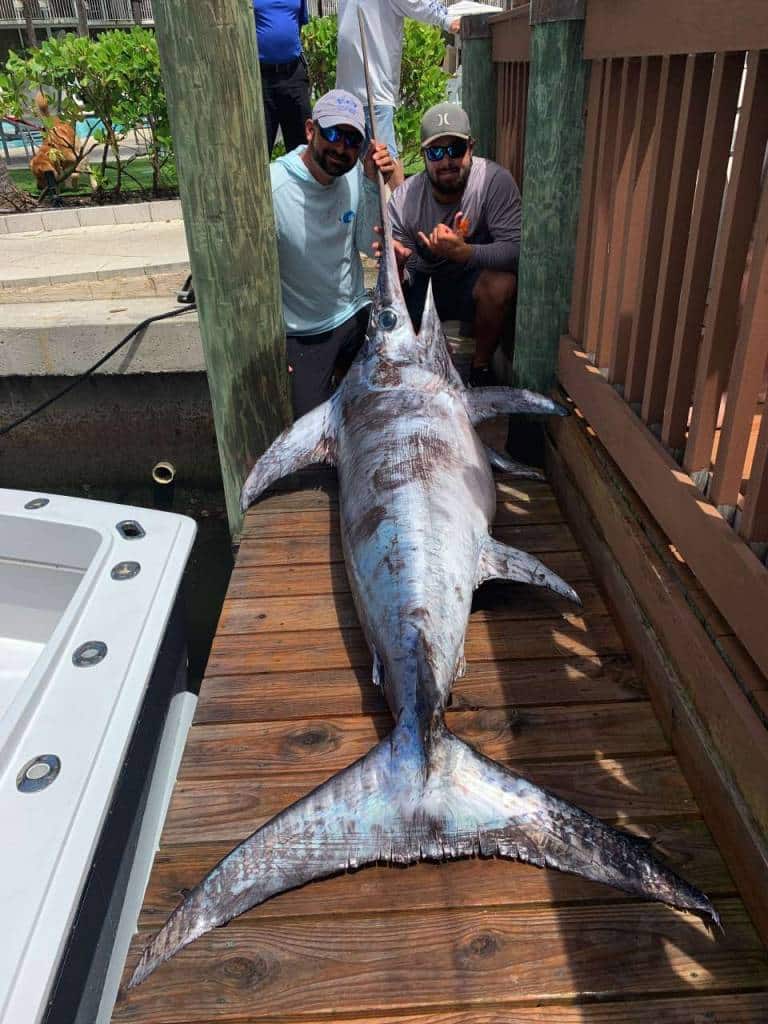 Tacos Hooked Up Sportfishing