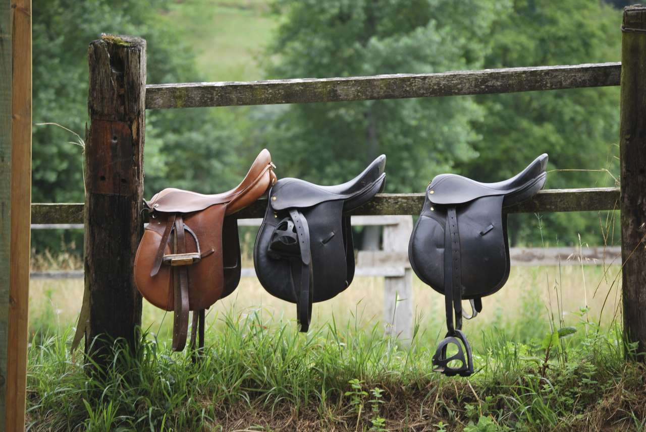 tack shops in Florida
