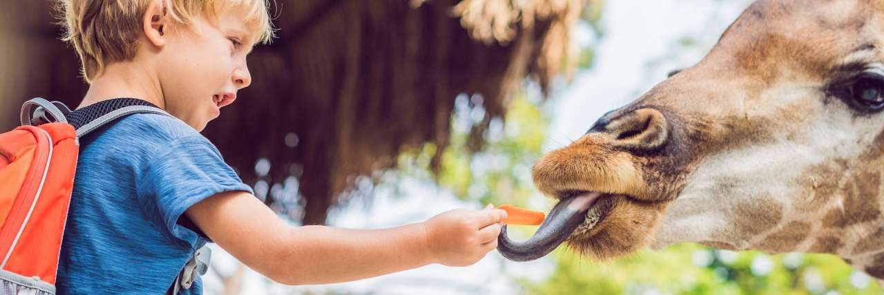 zoos in Florida the sunshine state