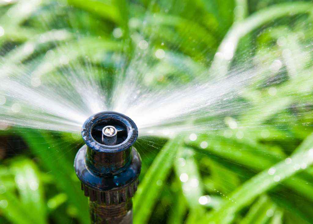 irrigation