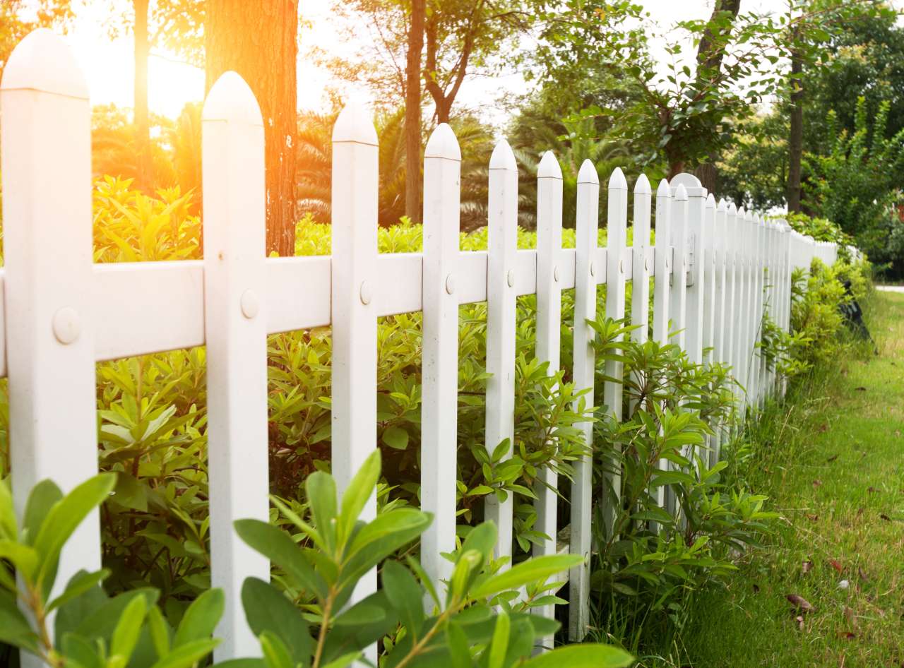 fence 