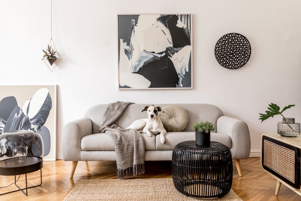 upholstery cleaning in Florida