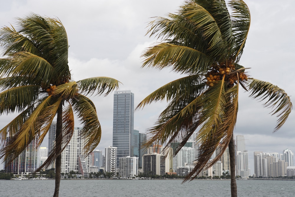 hurricane protection in florida