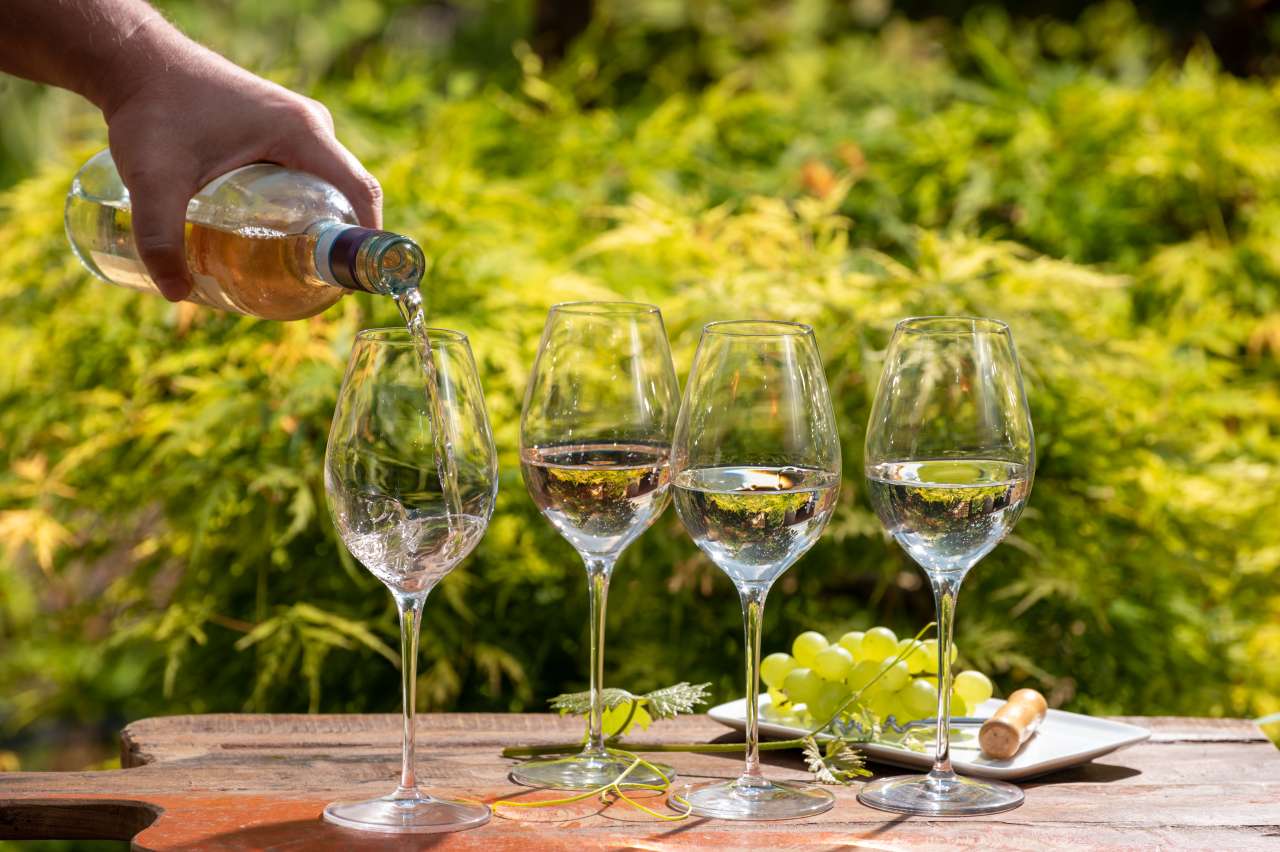 wineries in florida