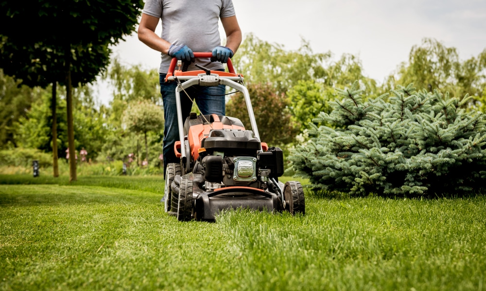 lawn equipment