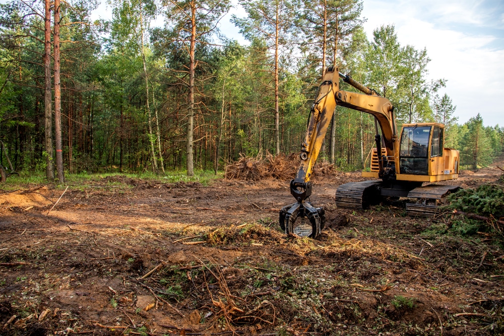 land clearing in Florida