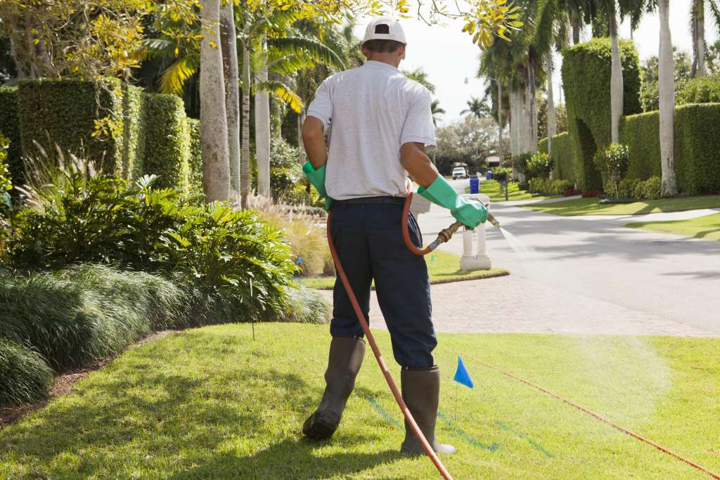 spray service