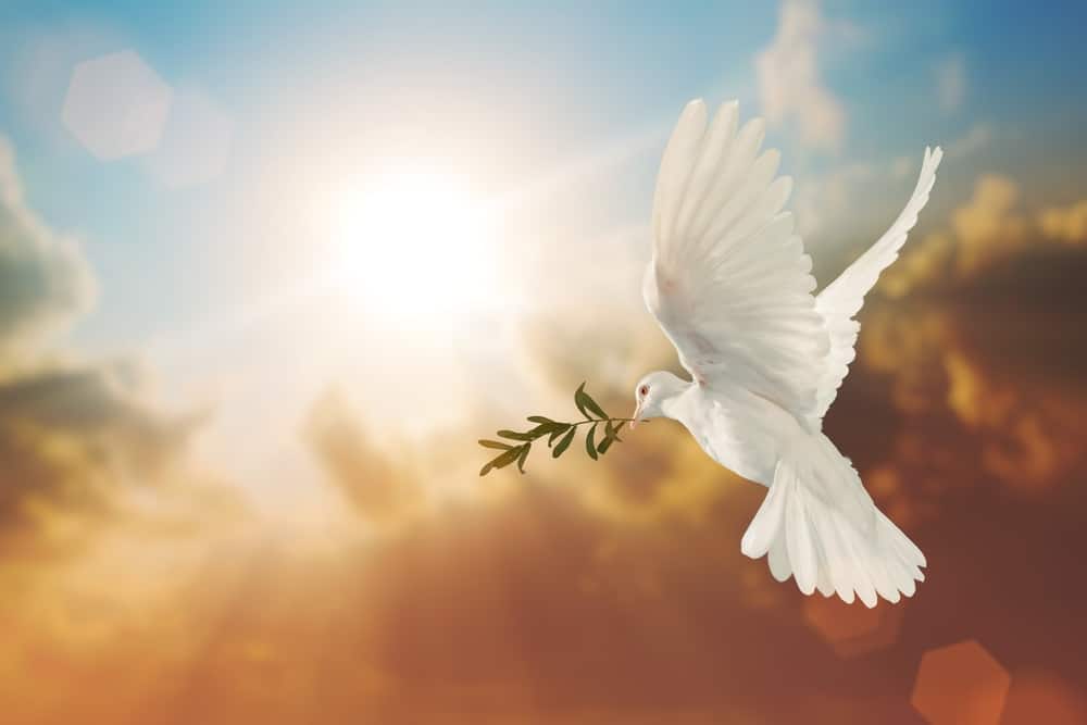 Episcopal Churches in Florida