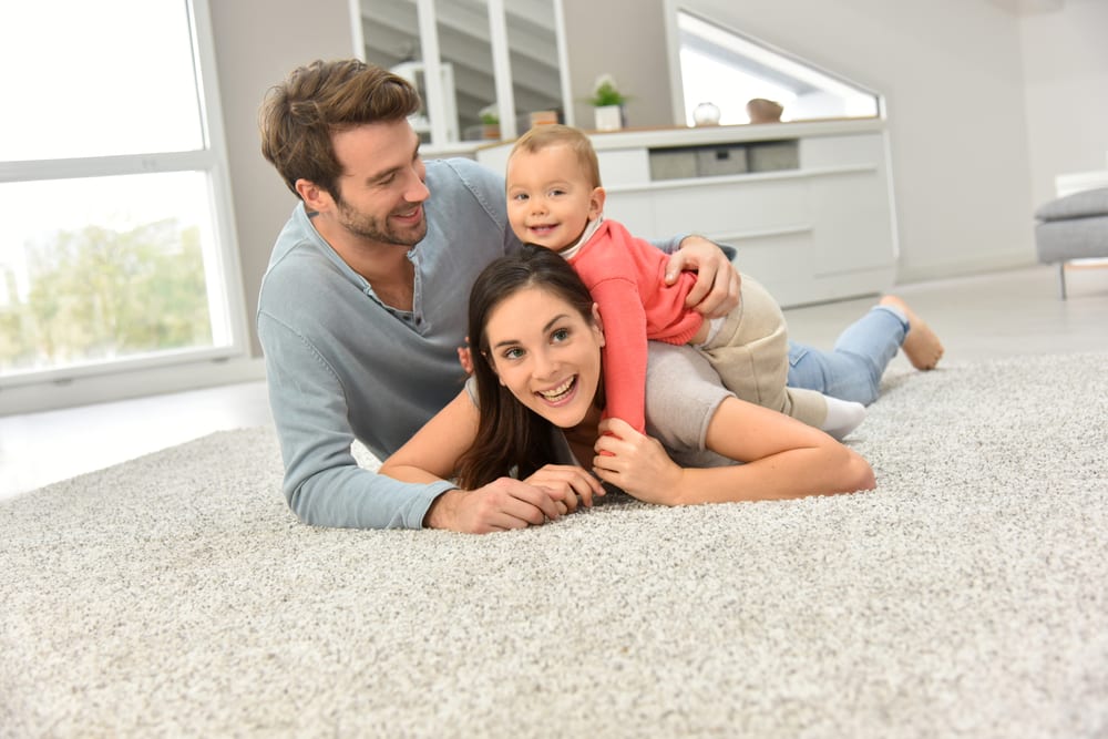 Carpet & Rugs