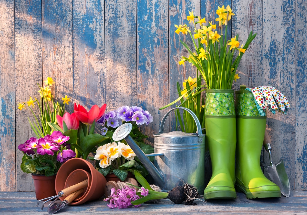 garden centers