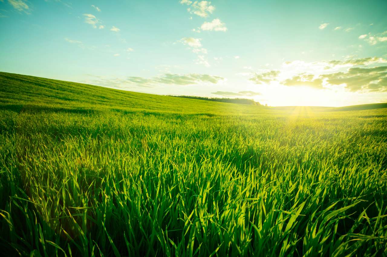 soil testing in Florida