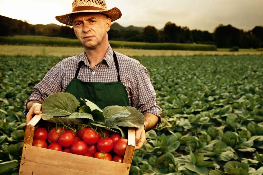 farms