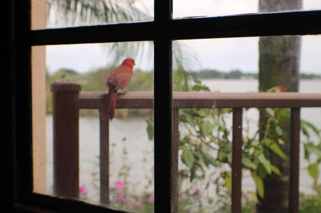 Chicanes Restaurant & Bar