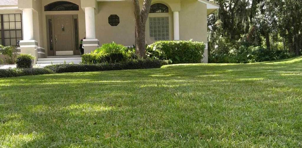 G-Pauppa’s Lawns