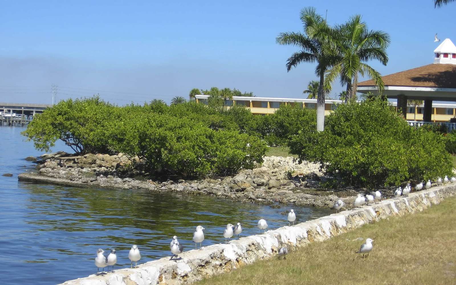 Punta Gorda
